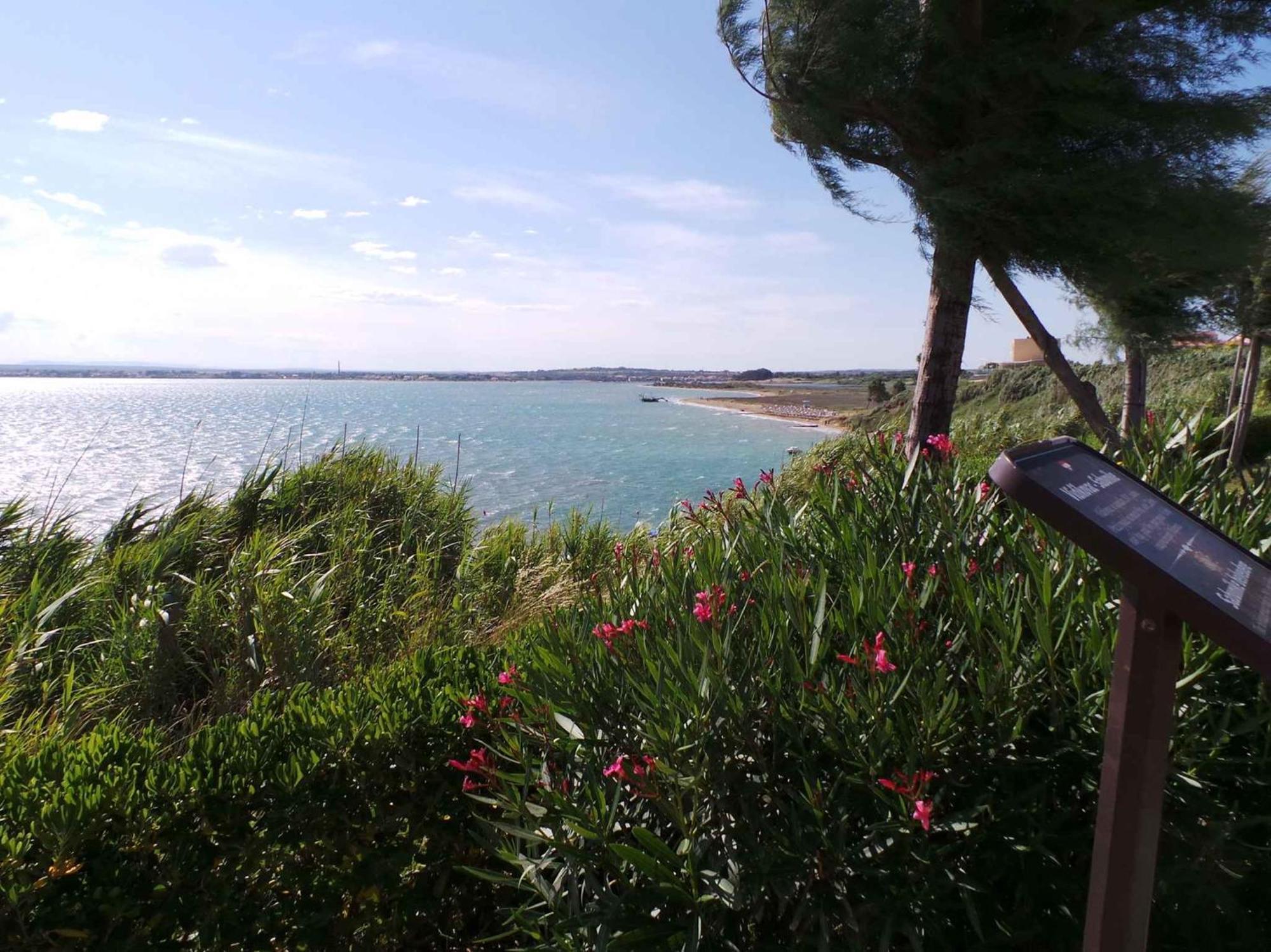 Apartments In Sabunike/Zadar Riviera 7766 Hoek van Holland Ngoại thất bức ảnh